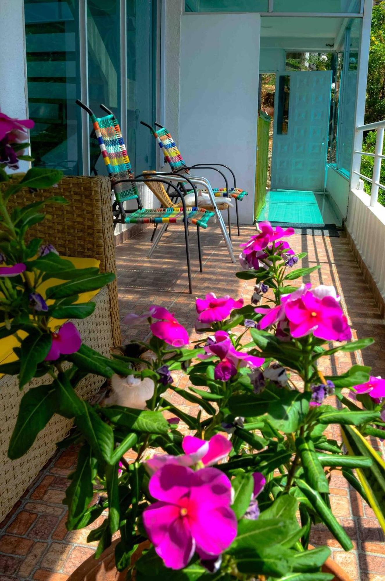 Casa Babel Taganga Hotel Santa Marta  Luaran gambar